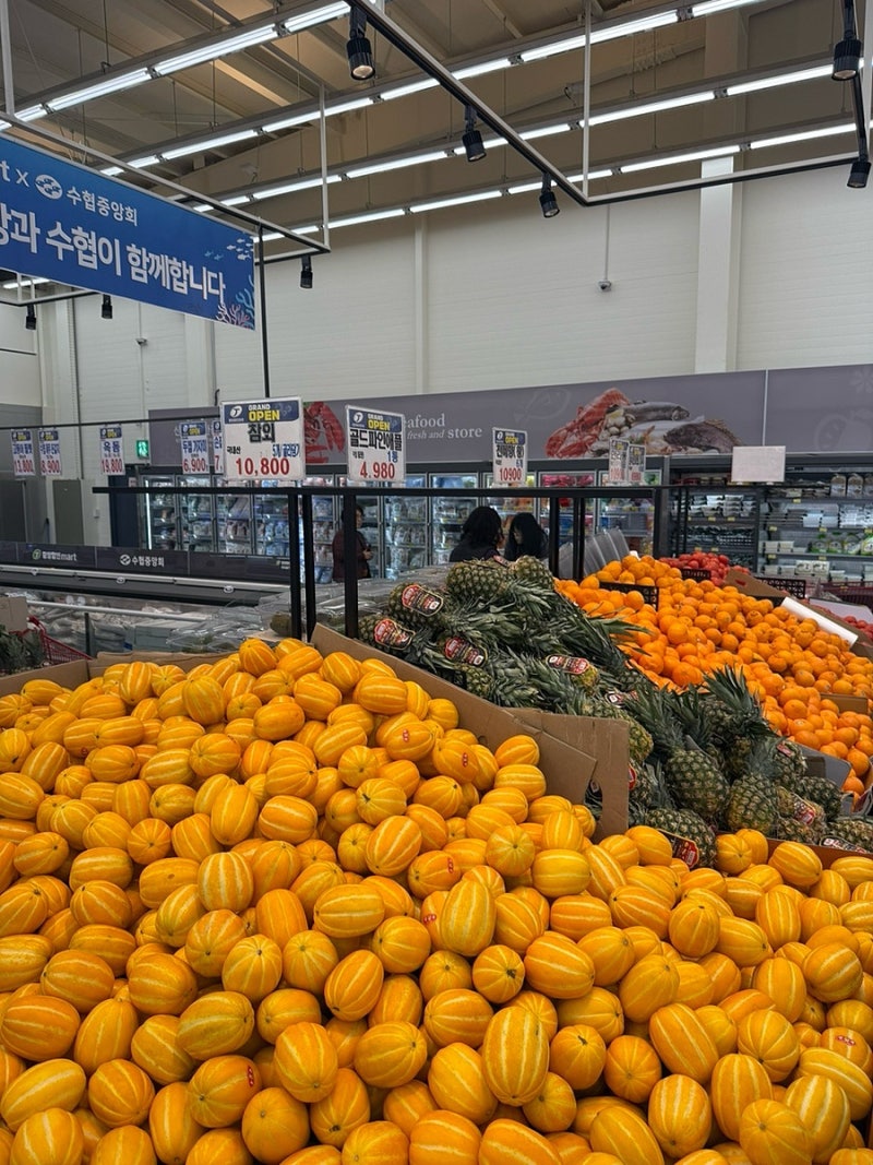 [천안] 중앙할인마트 천안점ㅣ3월 4주차 행사 시작 4월 봄바람 타고 온 할인 혜택 전단지행사 ....