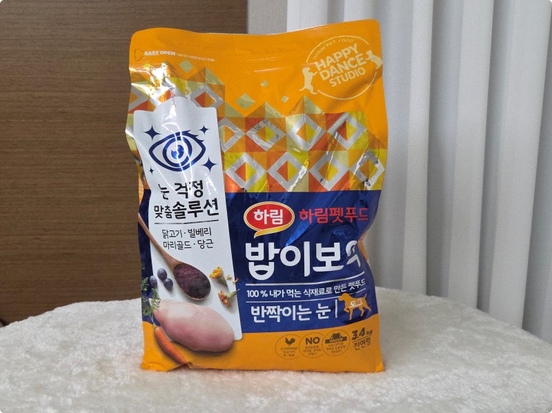 사진 9