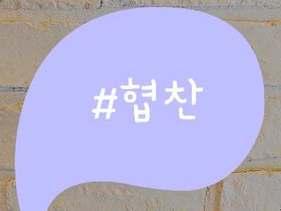 사진 8