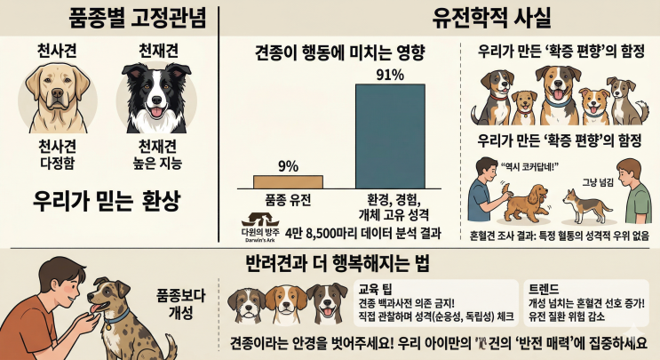  "보더콜리는 무조건 똑똑하다?" 유전학이 밝힌 '견종 가스라이팅'의 진실
