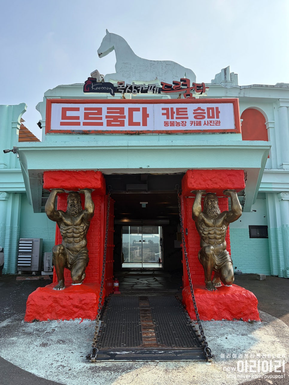 드르쿰다 제주상효점 사진 5