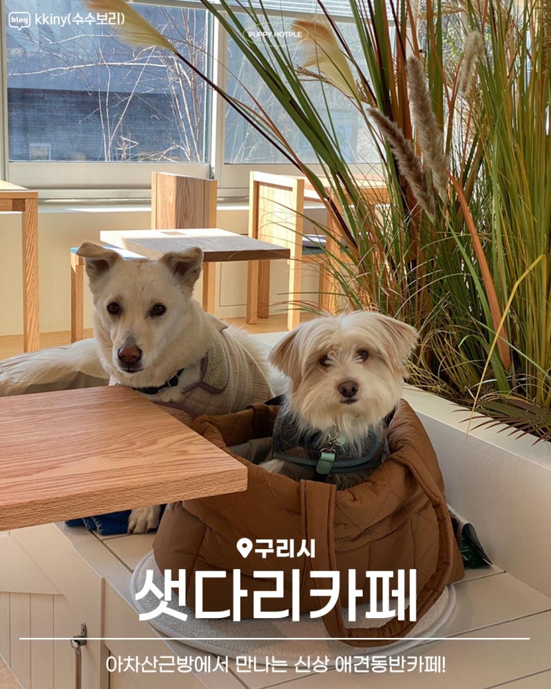 샛다리 카페