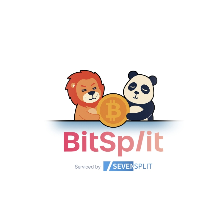  비트스플릿으로 하고 있는 코인투자 3월 목표 달성