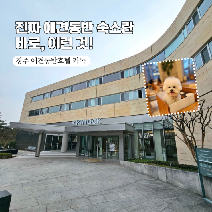  [경주 애견동반 호텔 키녹] 1% 디테일에 감동한 3가지 이유는?