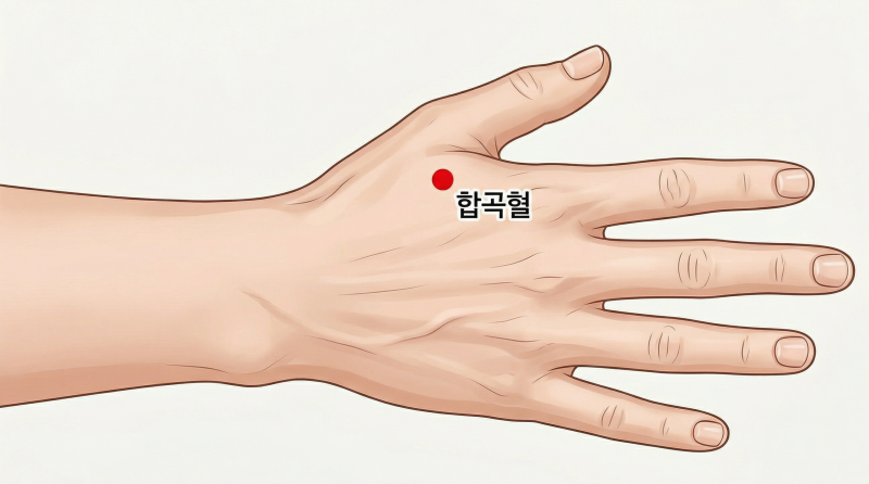 한의사가 알려주는 소화기 혈자리 가이드 : '이곳'을 눌러보세요