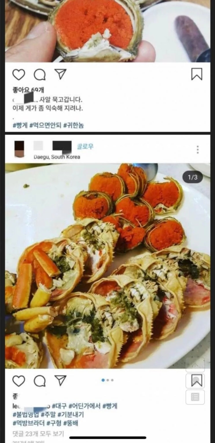  이천만원짜리 대게 인증샷