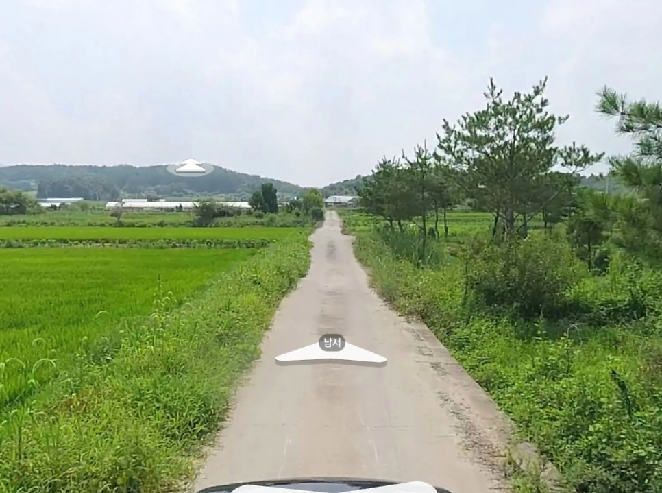 초정솔밭보리밥집카페 사진 3