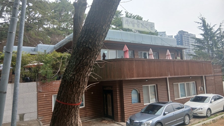 차밭골보리밥 사진 3