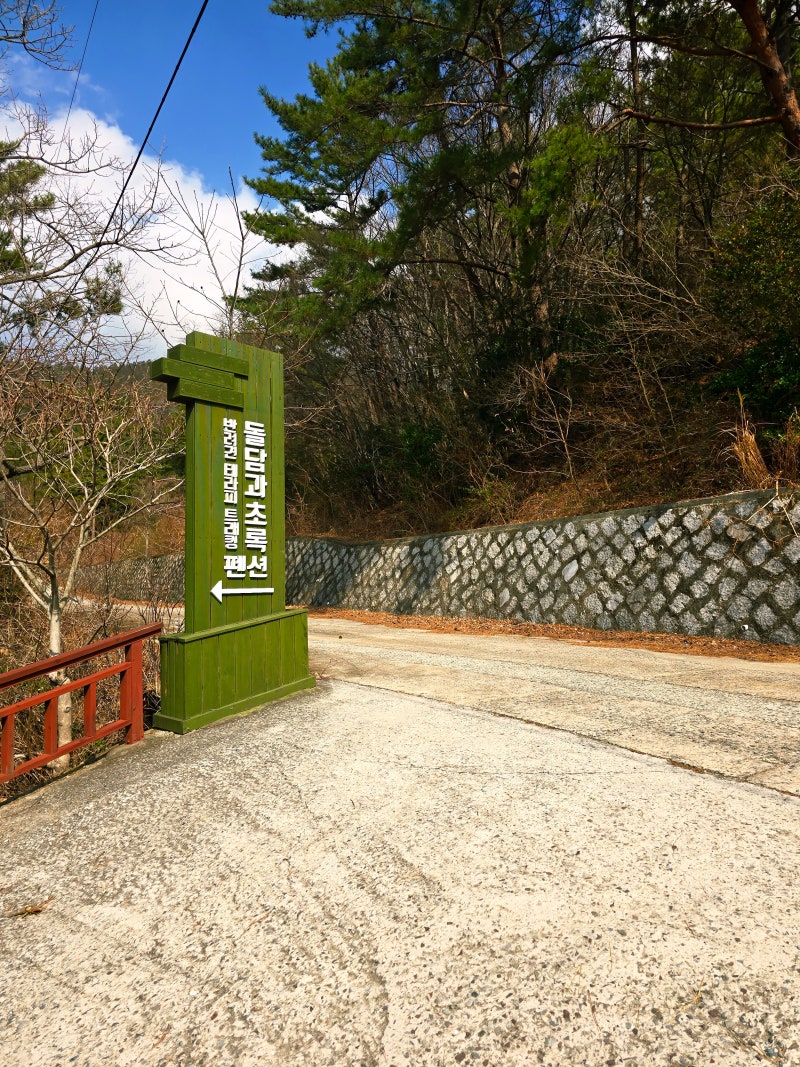 사진 10
