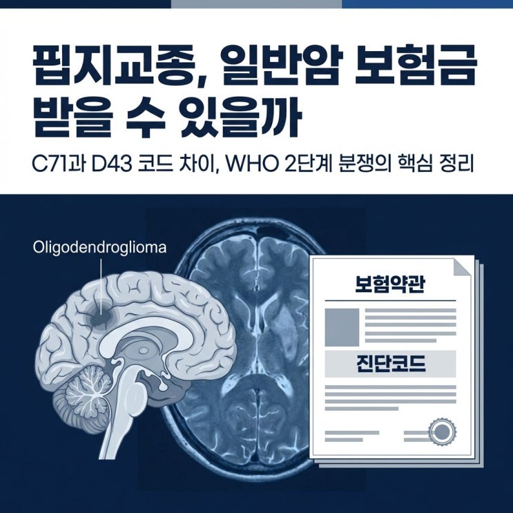  희소돌기아교세포종 Oligodendroglioma C71 지급 거절 원인과 해결점