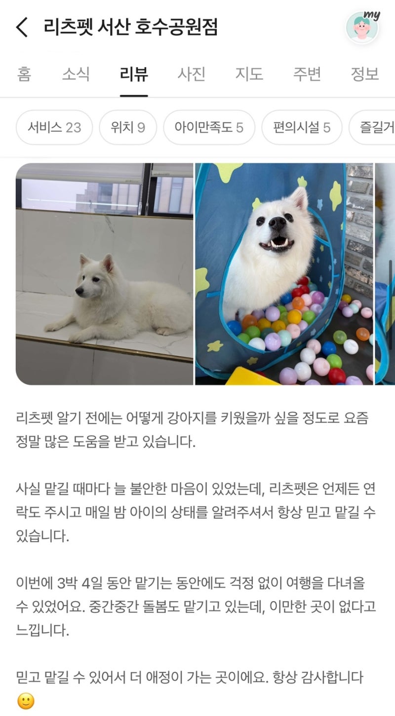 사진 5