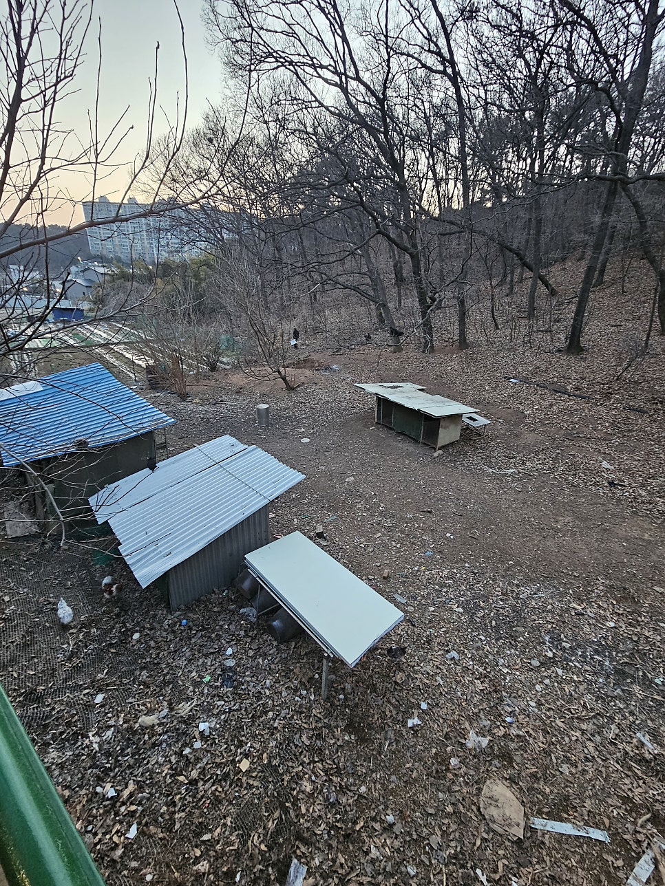 참나무골 사진 3