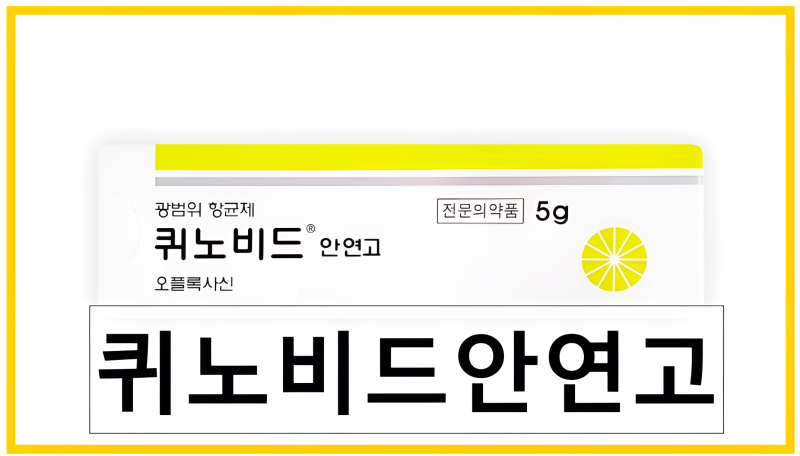 퀴노비드안연고 효능 사용법 눈 주위 세균성 감염치료 항생제 연고