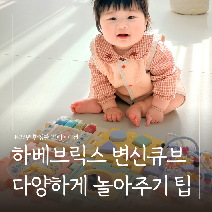  터미타임 장난감 추천 26년 한정판 말띠에디션 하베브릭스 변신큐브 활용 꿀팁