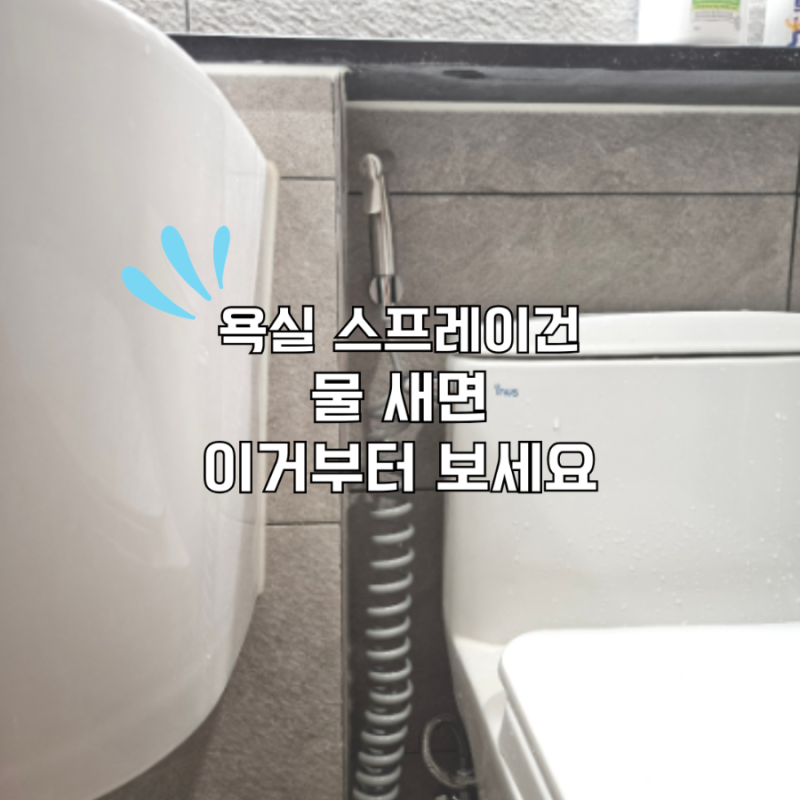 욕실 청소 스프레이건 스프링 호스 셀프 교체방법