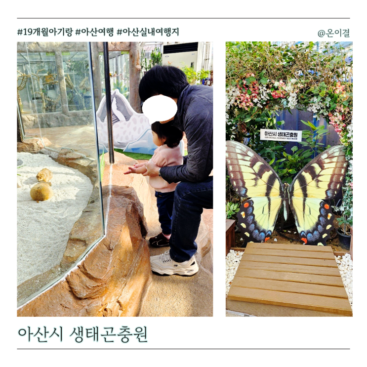  아산여행 실내동물원 아산생태곤충원 19개월 아기랑 가볼만한곳 실내여행지