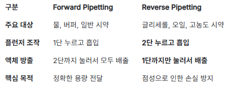 사진 9