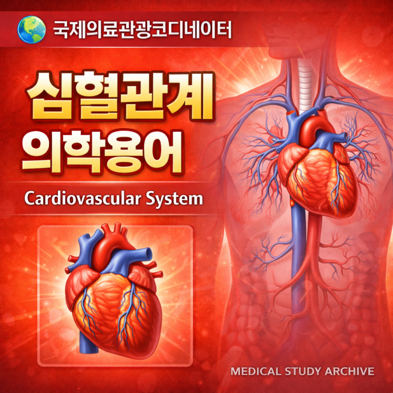 국제의료관광코디네이터 ③ 심혈관계 의학용어 정리