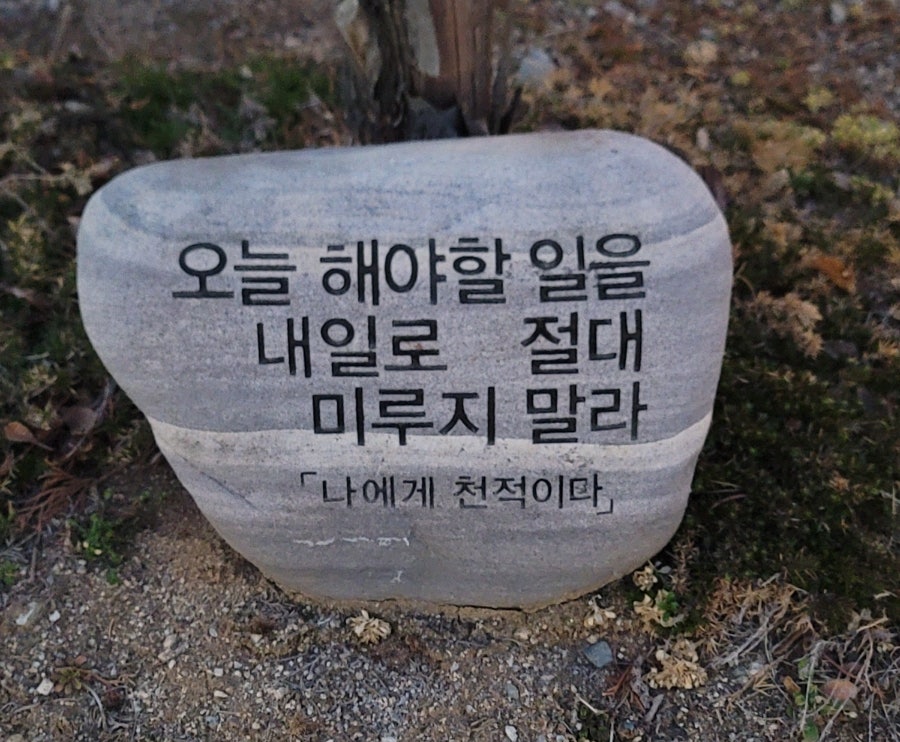 커피안뜰 사진 3