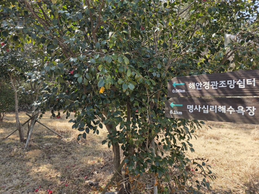 상산 사진 3