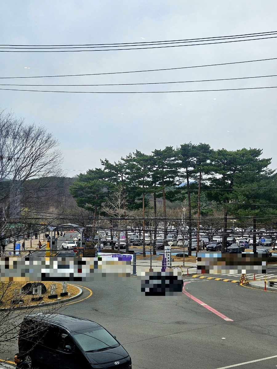 스타벅스 울산대공원점 사진 6
