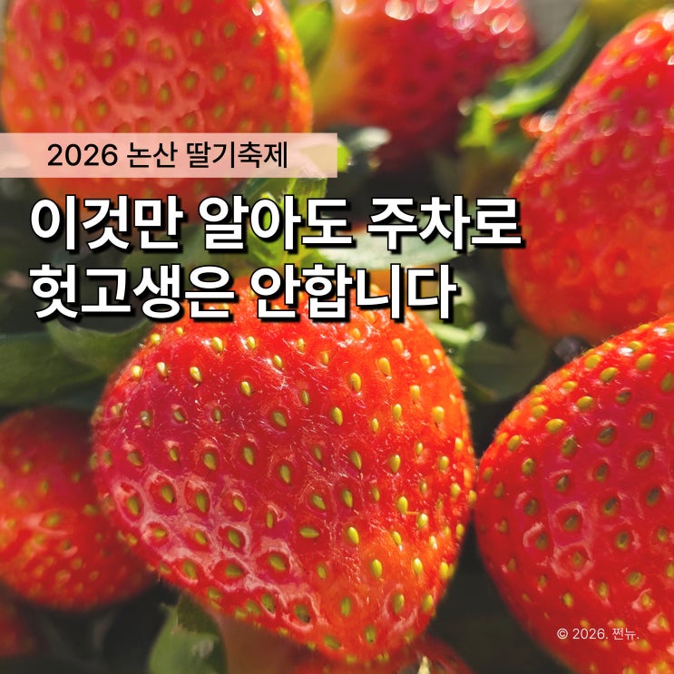  "주차만 2시간..?" 2026 논산 딸기축제, 꿀팁 모르고 가면 체력만 낭비합니다