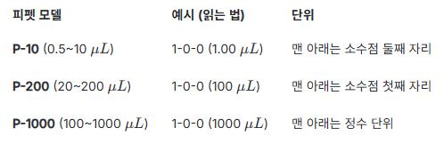 사진 8