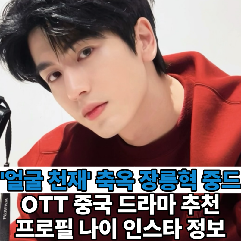 '얼굴이 재밌다' 장릉혁 레전드 중드 추천 중국 로맨스 OTT 드라마 추천 리스트 (프로필 나이 ....