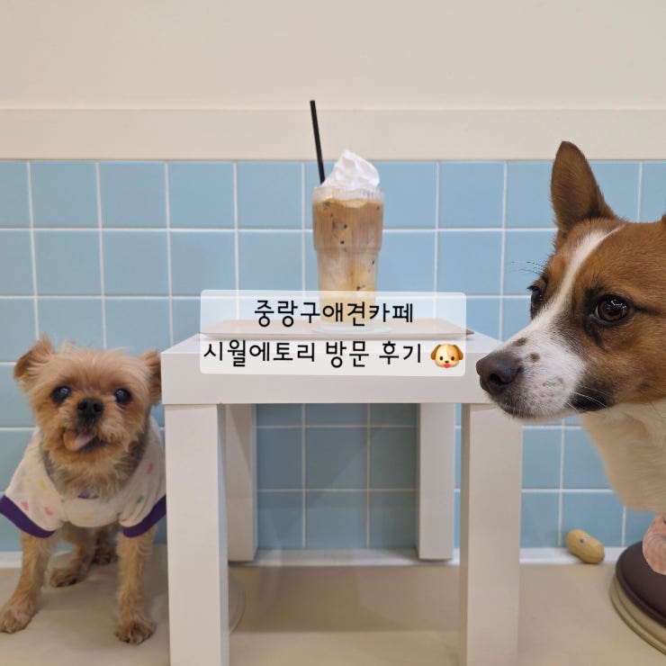 시월에토리