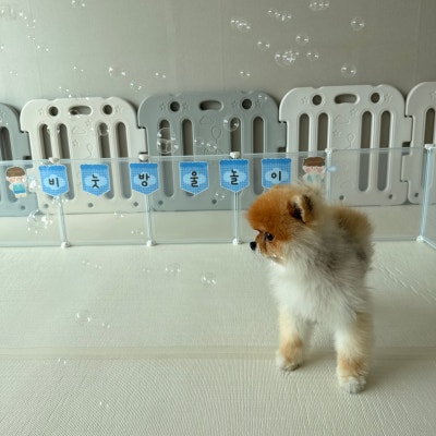 사진 9