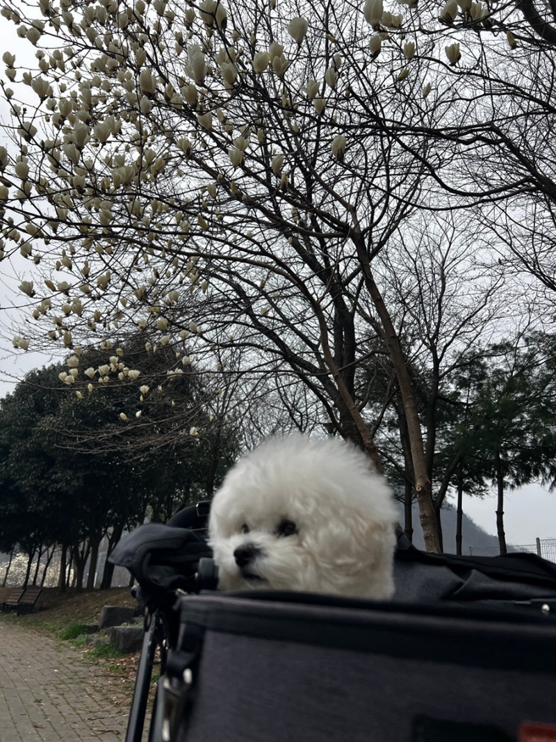 사진 2