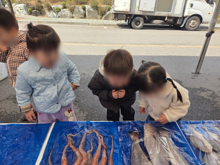  아이큰별어린이집 시장체험 추천, 물고기와 해산물을 직접 본 아이큰별어린이집 시장체험 이야기