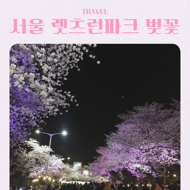  서울 근교 가볼만한 곳 과천 경마장 렛츠런파크 벚꽃 축제