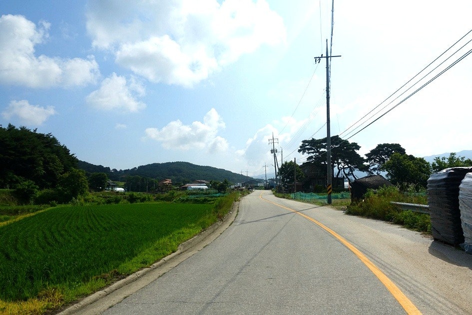 정자나무쉼터 사진 4