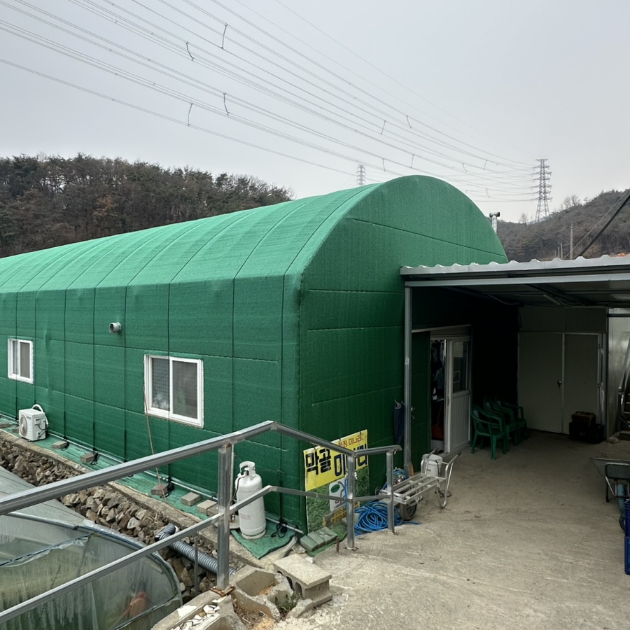 녹동막골미나리 사진 2