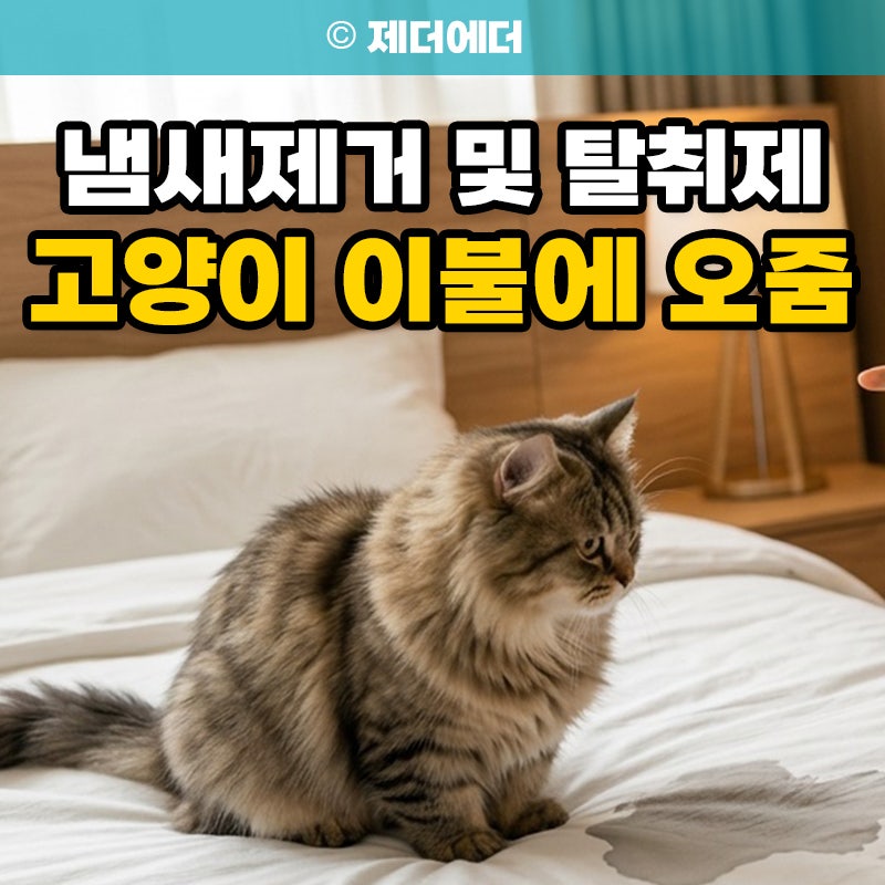 고양이 이불에 오줌 이유, 냄새 제거 탈취제 사용법