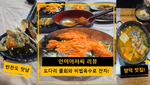 인어아저씨 후기 | 자연산 도다리 물회와 비법육수가 입안에서 잔치를 벌이는 포항 양덕 맛....
