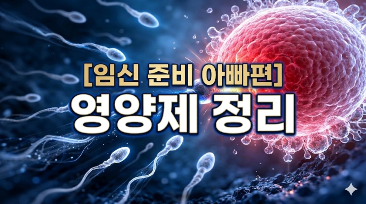  임신 준비 아빠편! 영양제 필수 vs 선택 완벽 정리