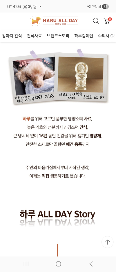 사진 9