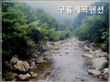구룡계곡펜션 사진 2