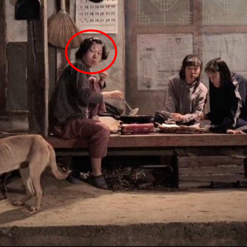 염혜란 프로필 김밥집 알바하며 국어 가르치던 예비 교사가 '대체 불가' 명품 배우가 된 사연....
