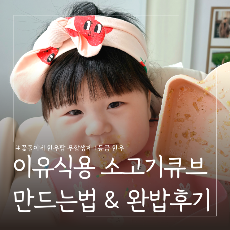  한우 다짐육 초기이유식 소고기 큐브 만들기ㅣ보관 및 해동 꿀팁 정리