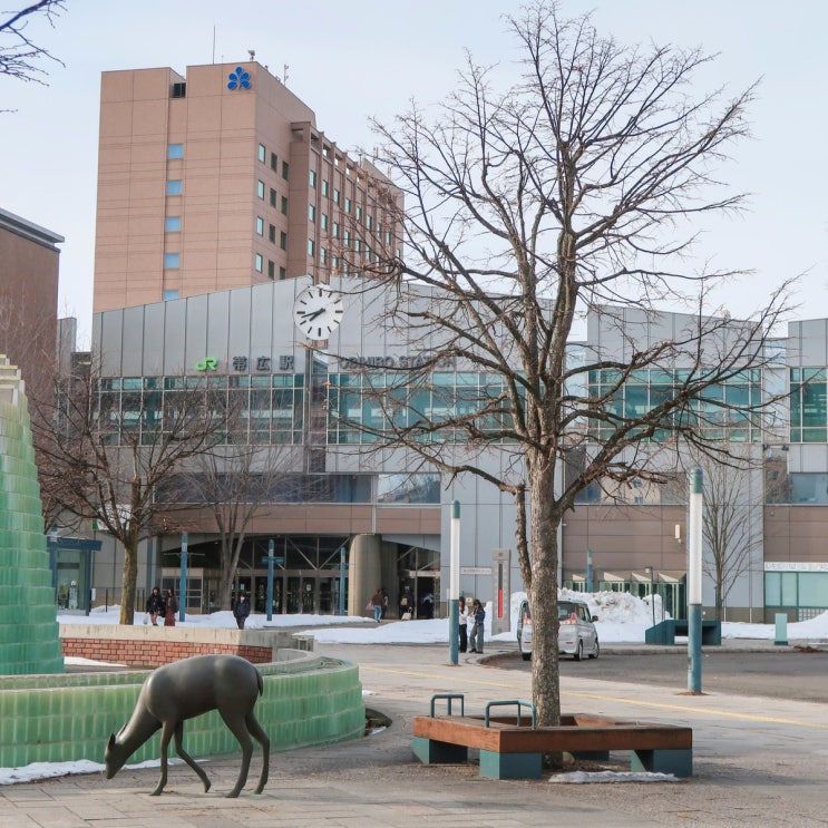  일본 홋카이도 오비히로 여행 3월 날씨 3박4일 프롤로그