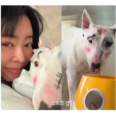 이혜영, 반려견 낙서 논란..“귀엽다” vs “동물 학대” 의견 갈렸다