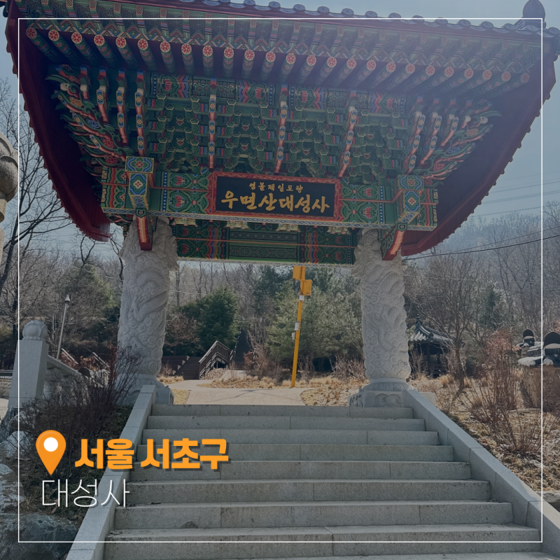 사진 7