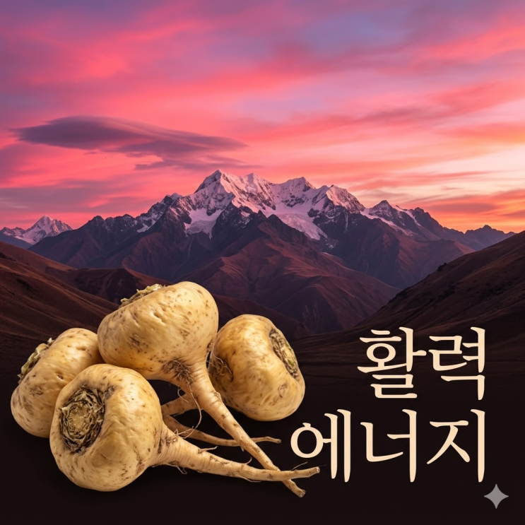  마카 흑마카 차이 남자 효능, 지친 당신의 일상을 깨우는 활력 에너지