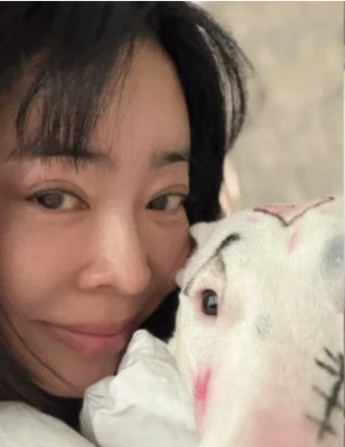 충격 경고! 강아지를 장난감 취급?이혜영 반려견 풀메이크업 영상,동물학대 논란? 단순한 해....