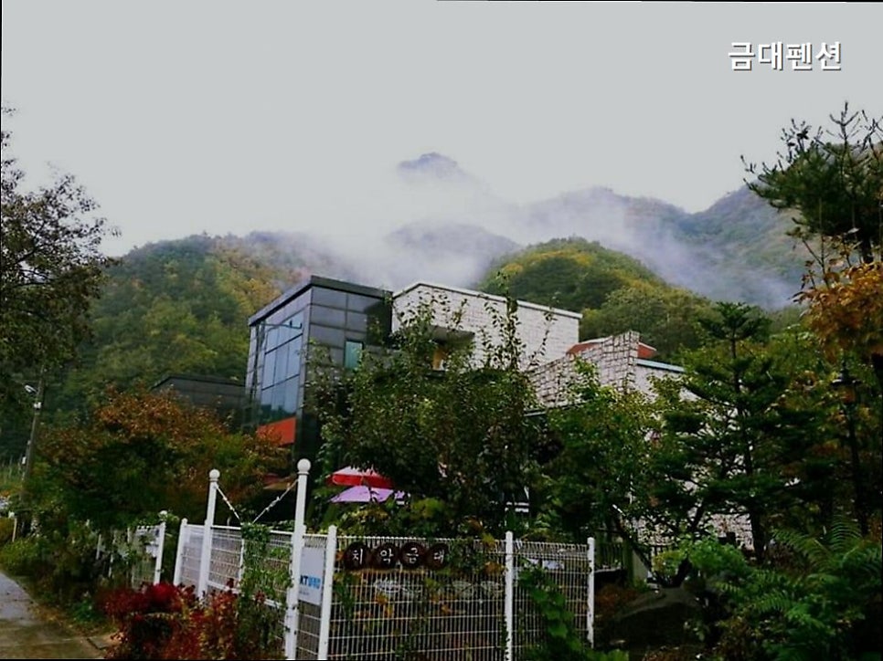 금대펜션 사진 1
