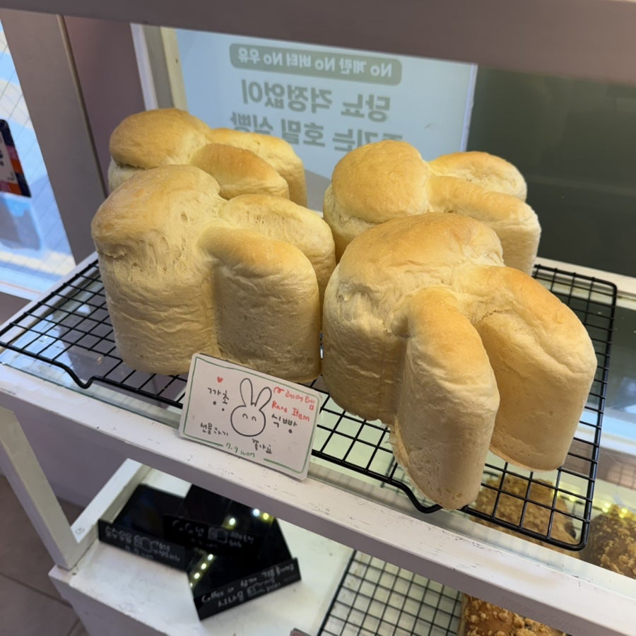 달퐁 사진 3