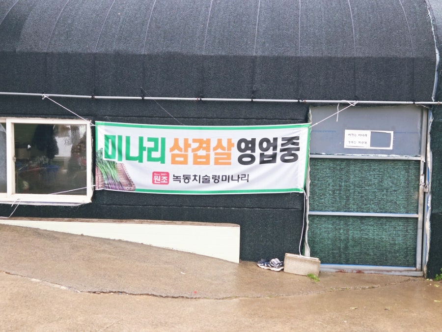 녹동치술령미나리 사진 2